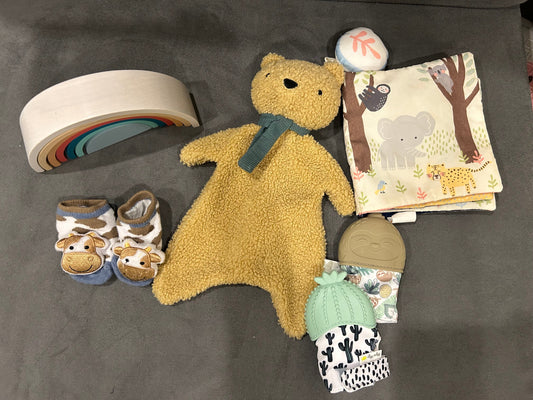 Seller 128 -  REDUCED Cloud Island and Itzy Ritzy Baby Toy Bundle