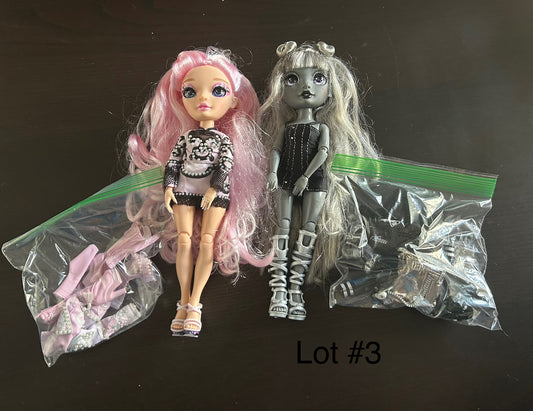 Seller #62 Rainbow high dolls