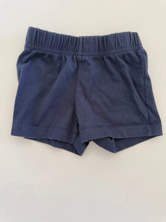 #78 REDUCED Garanimals Alligator Surf Outfit 12M