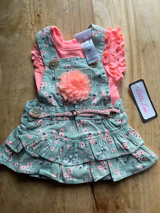 #97- NWT Little Rose Dress & Top Size 0/3 months