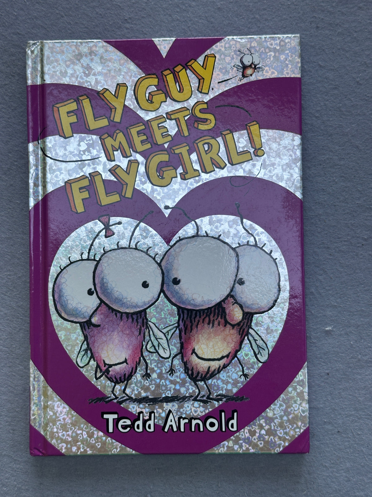 #163 FlyGuy Meets FlyGirl Hardcover Book