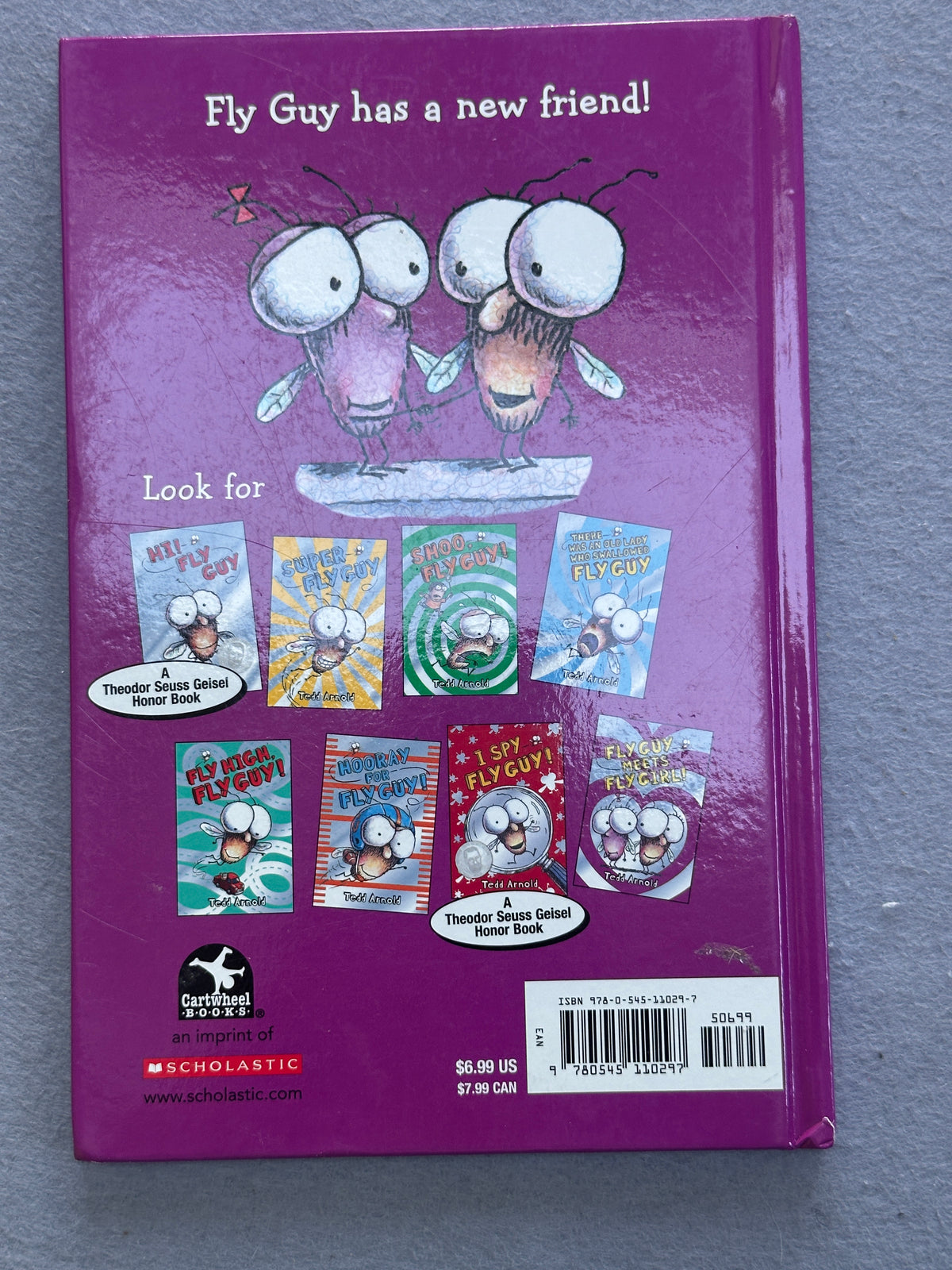 #163 FlyGuy Meets FlyGirl Hardcover Book