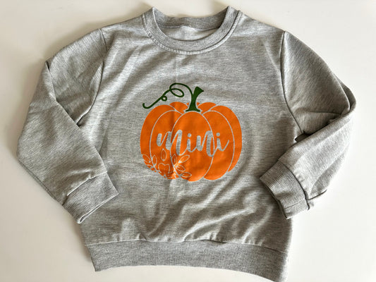 Seller #39 toddler girl 4T pumpkin sweatshirt “mini”