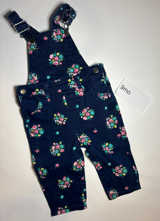 205 9mo Floral Overalls