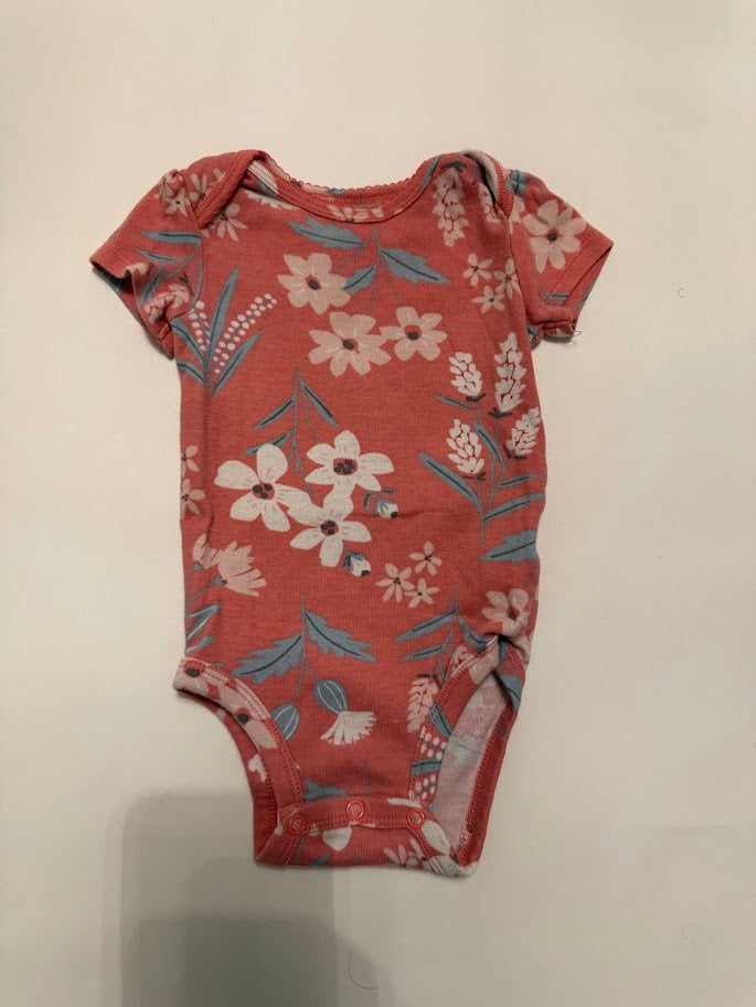 #78 REDUCED Carter's 2 Piece Flower and Butterfly Bodysuits Girls 6M
