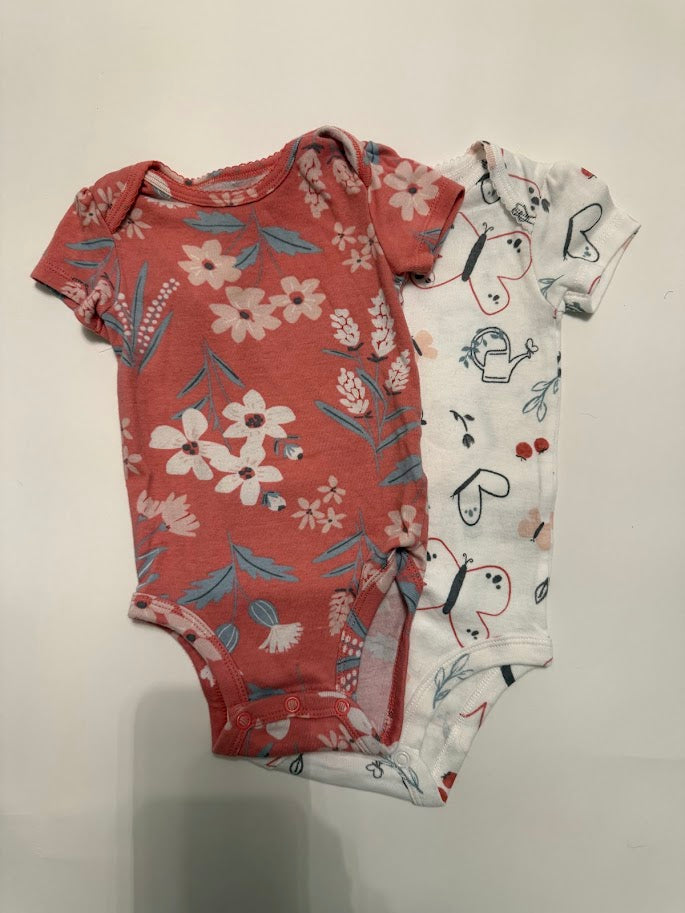 #78 REDUCED Carter's 2 Piece Flower and Butterfly Bodysuits Girls 6M