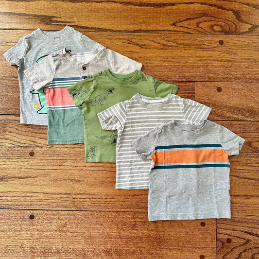#113	GUC Boys Carters Tshirts, set of 5, size 12 months