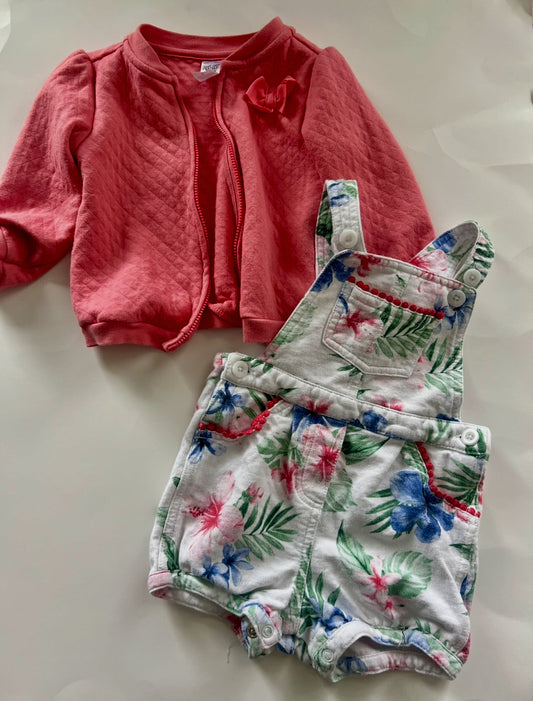 Seller #165 Girls 18 Month Carter's Outfit Bundle