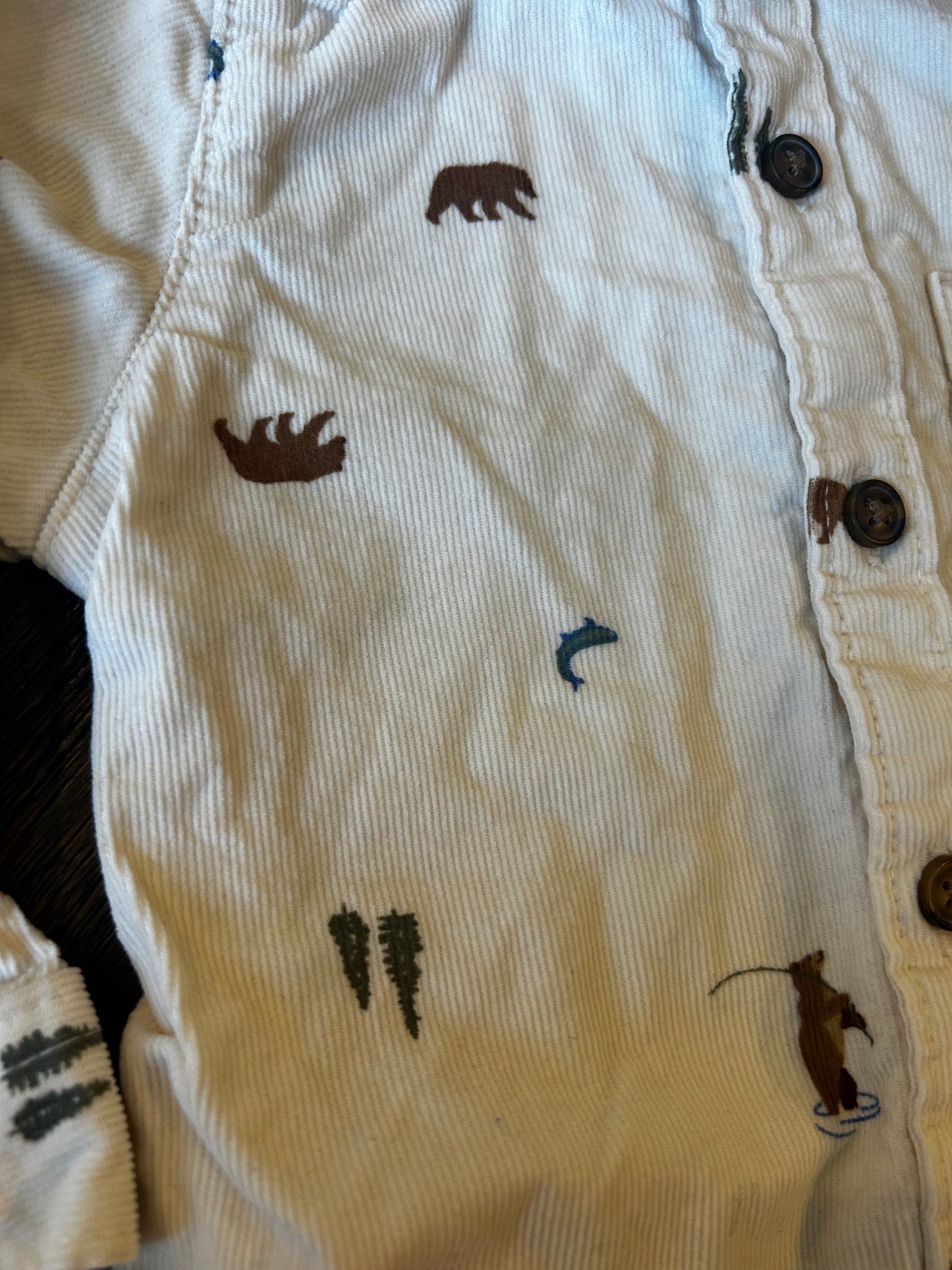 Seller #21 Carters boy 12mo outfit outdoorsy print