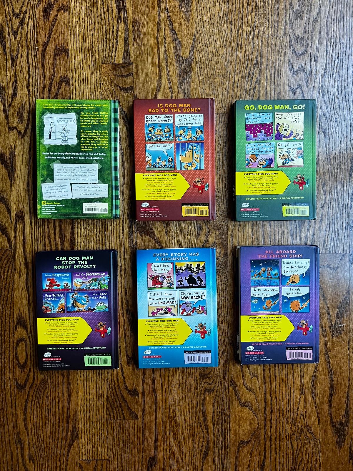 Seller #115 - Dog Man / Diary of a Wimpy Kid Book Bundle (Set of 6), VGUC