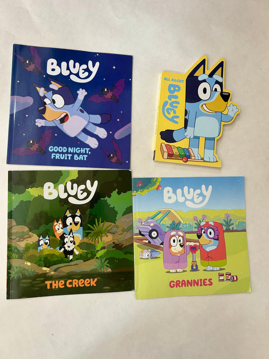 #6 Set of 4 Bluey books