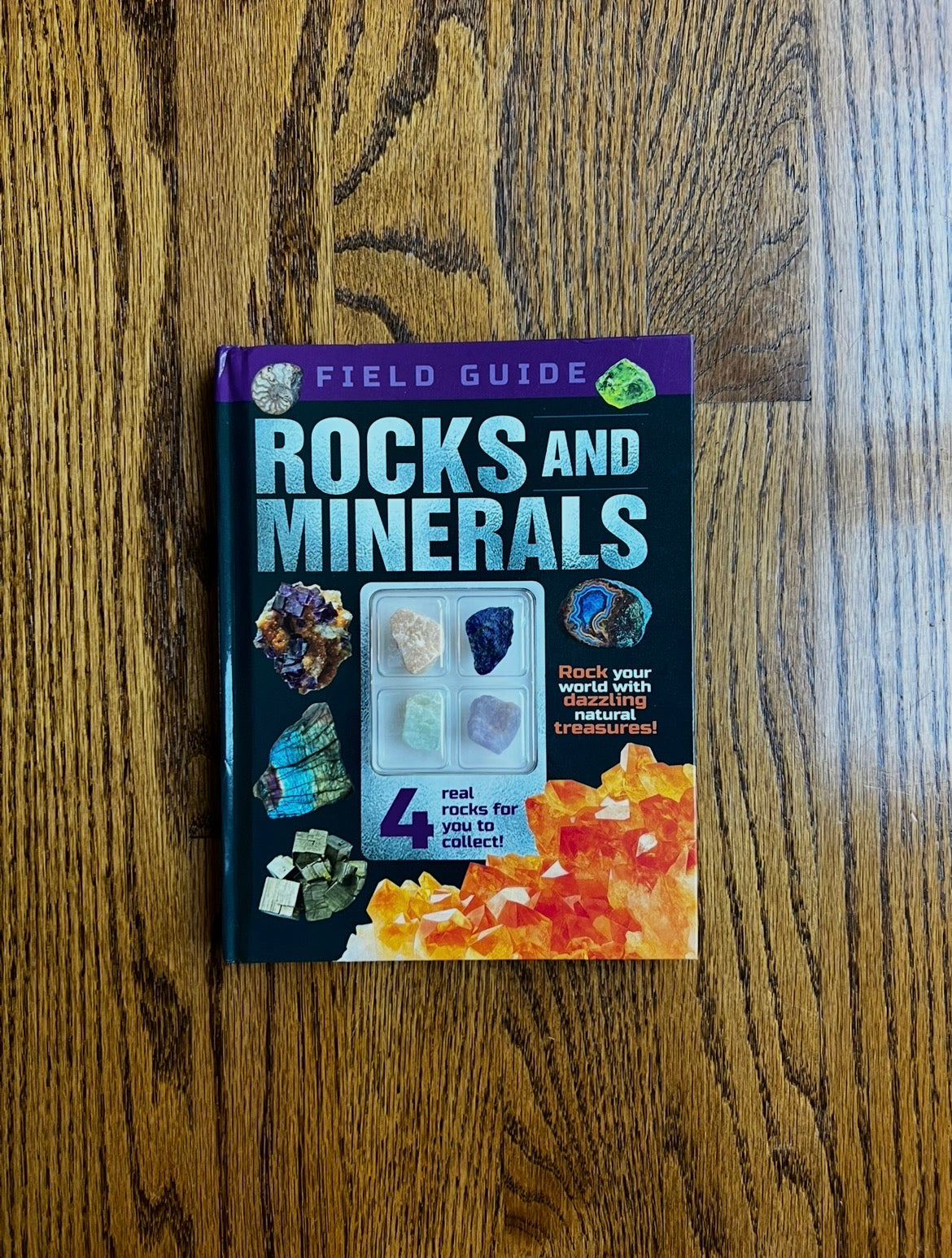 Seller #115 - Rocks & Minerals Field Guide Book, NEW (Read Description!)