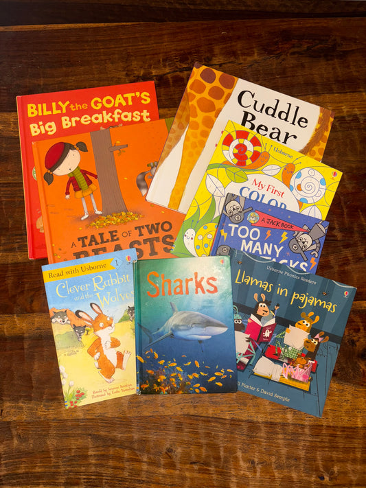 #182 Usborne book lot