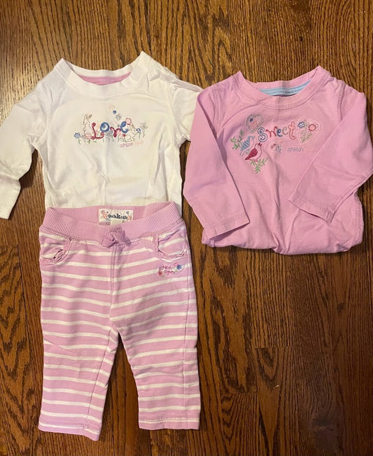Oshkosh baby girl size 6 month bunny long sleeve bunny shirts and purple/white stripe pant
