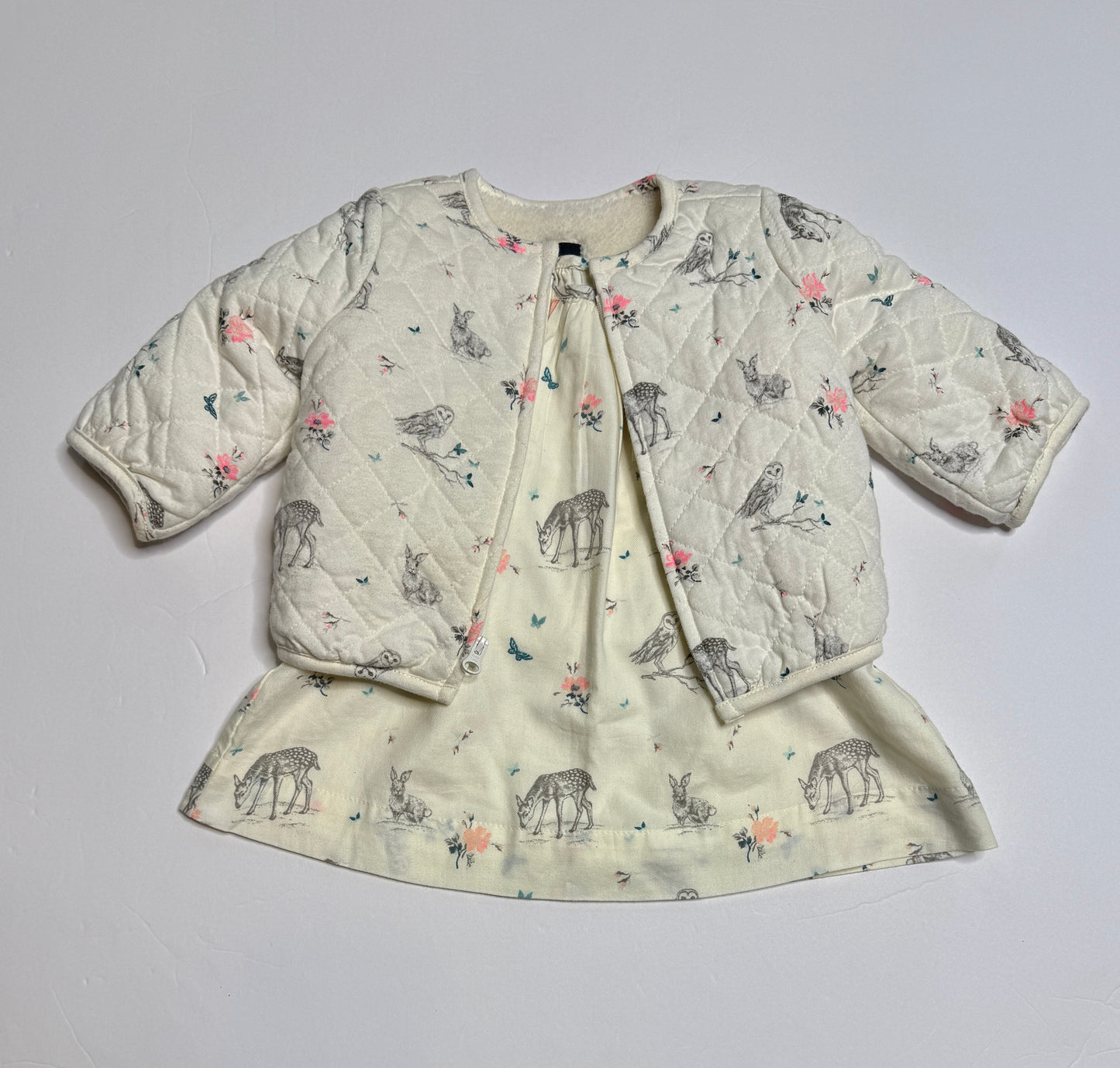 Seller 89 Girls Baby Gap Size 3-6 mo Dress and Sherpa Lined Dress NWT