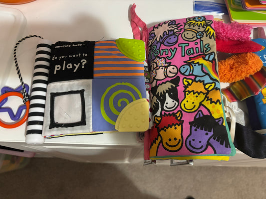 #138 - 2 Soft Books (do you want to play + pony tails)