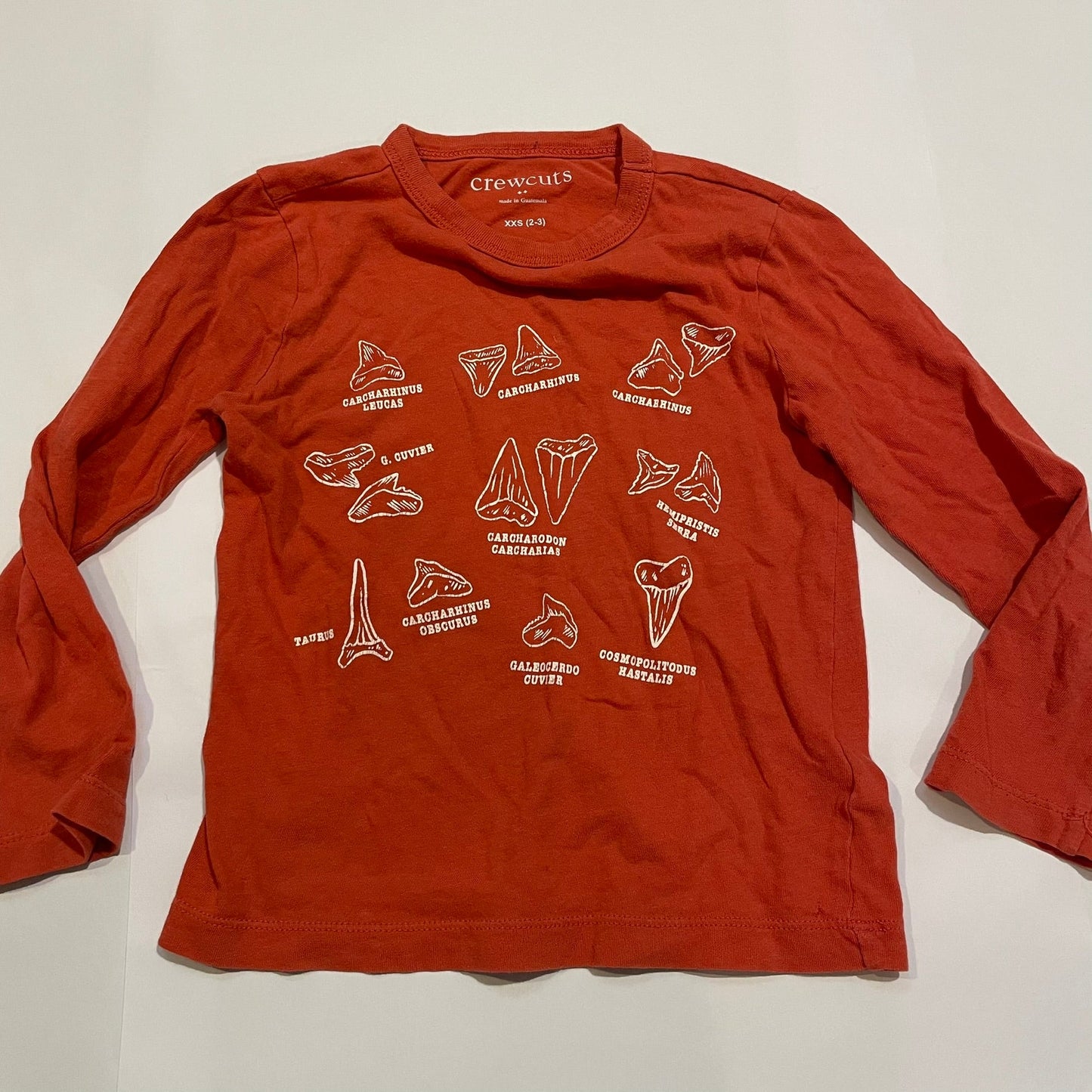 #126 Boys Crewcuts LS Orange Dino teeth Shirt XXS (2-3) GUC