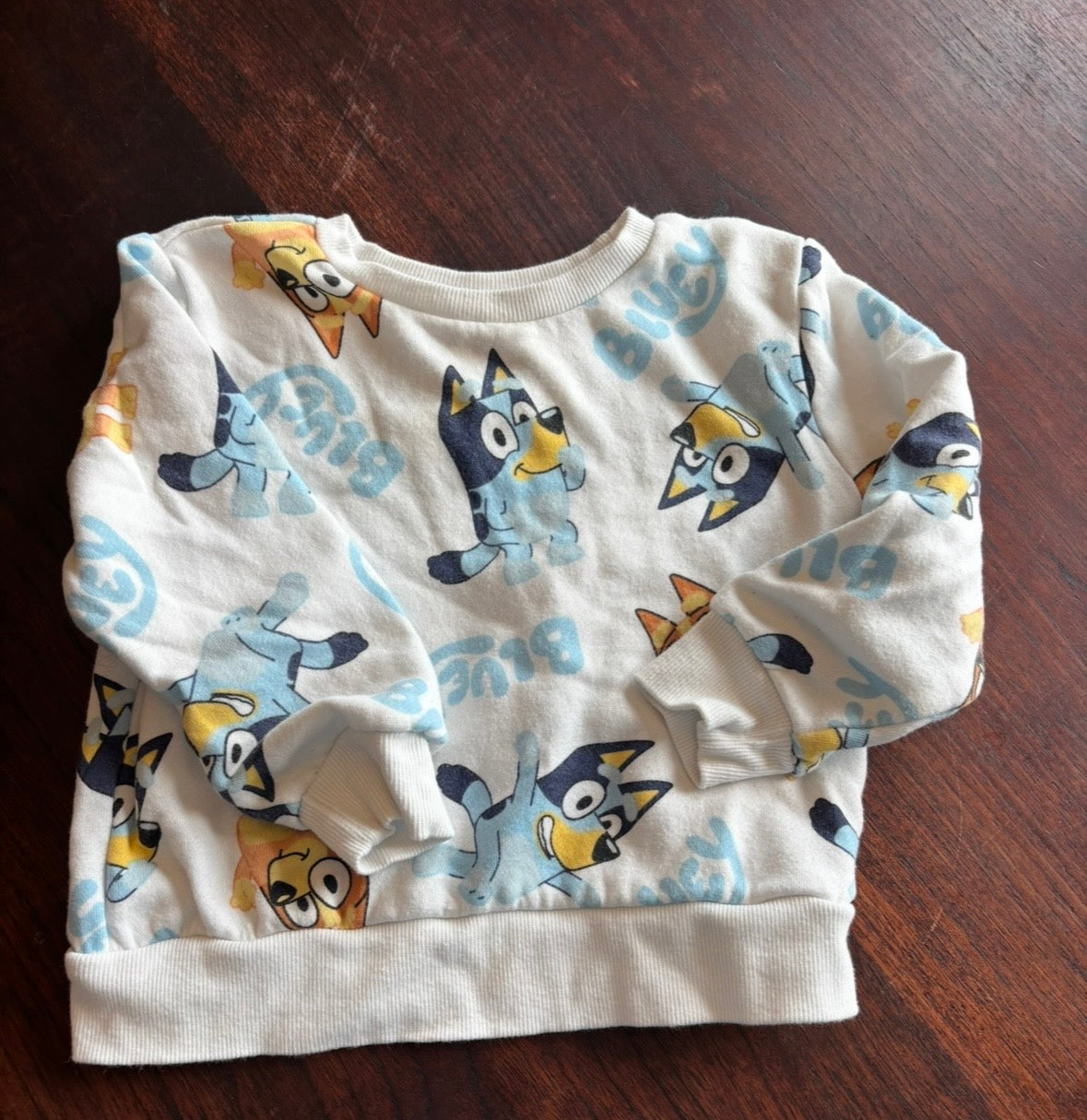 #44 Bluey Sweatshirt size 3T Gender neutral