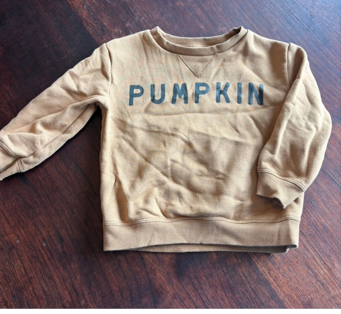 #44 Little Co. Pumpkin sweatshirt size 2T
