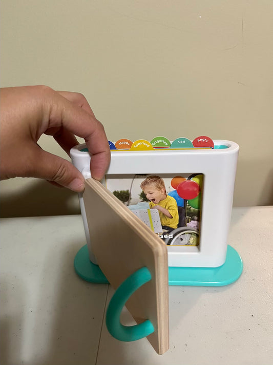 Seller #28 - Lovevery Feelings/Mirror Toy - EUC