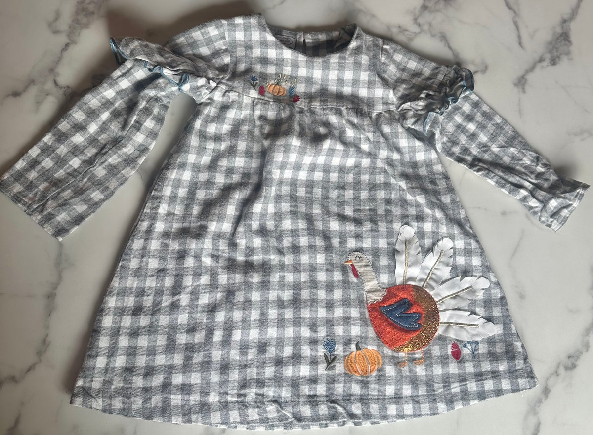 Seller #58 Girls Mud Pie 4T Thanksgiving dress