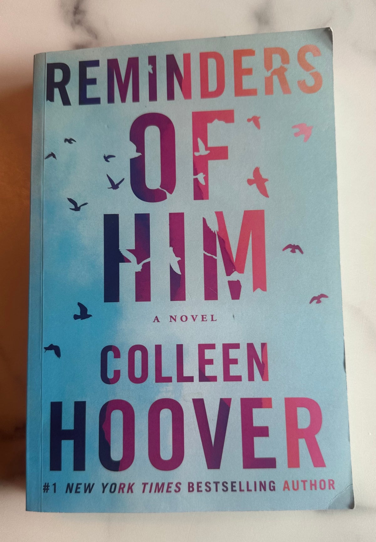 Seller #58 Reminders of Him paperback book