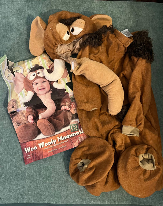 Seller 229 - Wooly Mammoth Halloween Costume