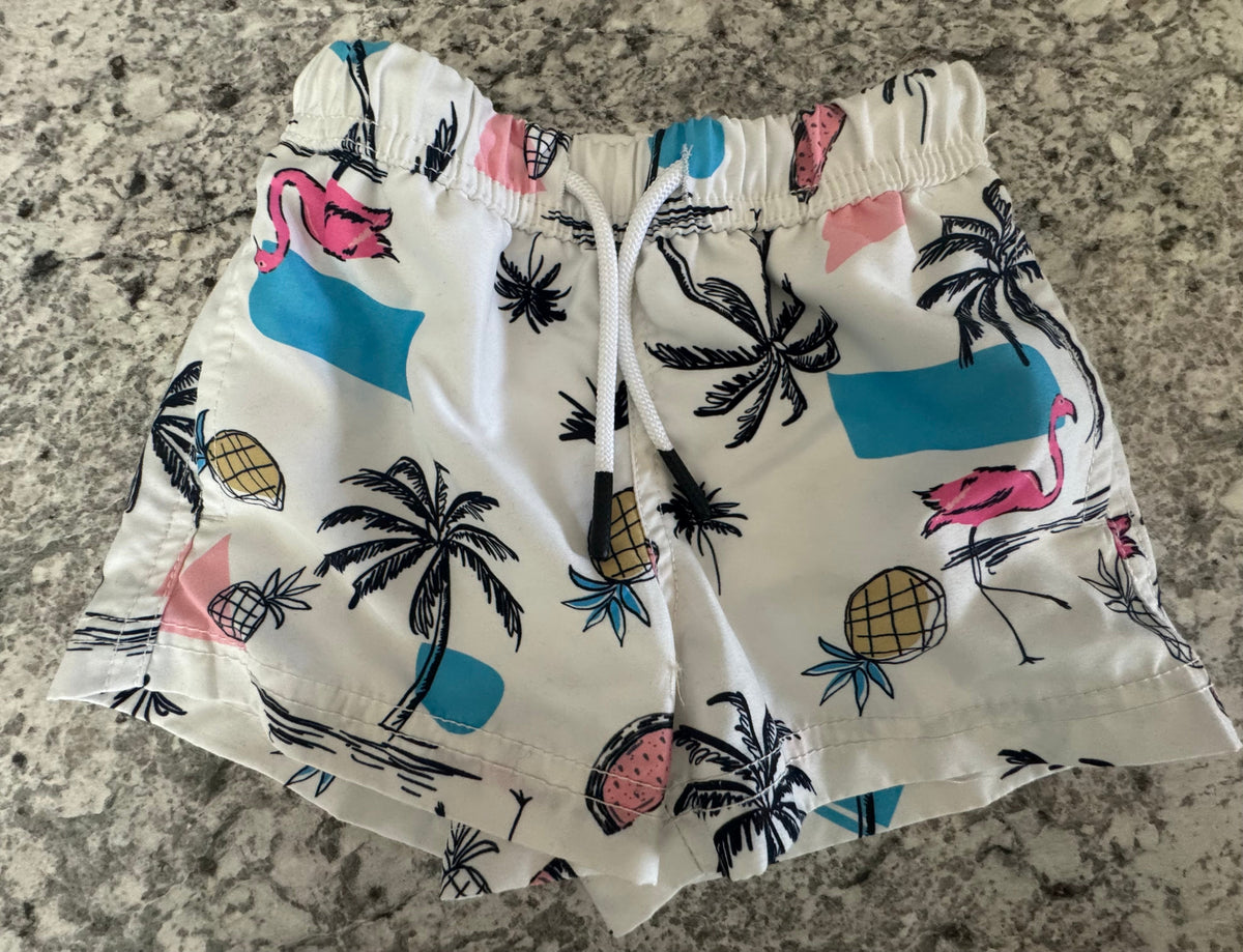 #107 Swim Trunks 2T