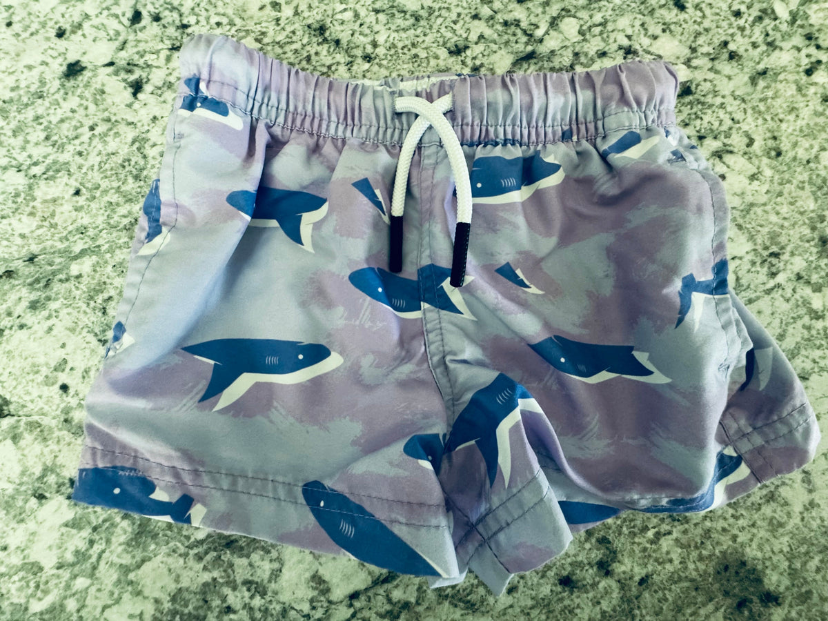 #107 Swim Trunks 2T