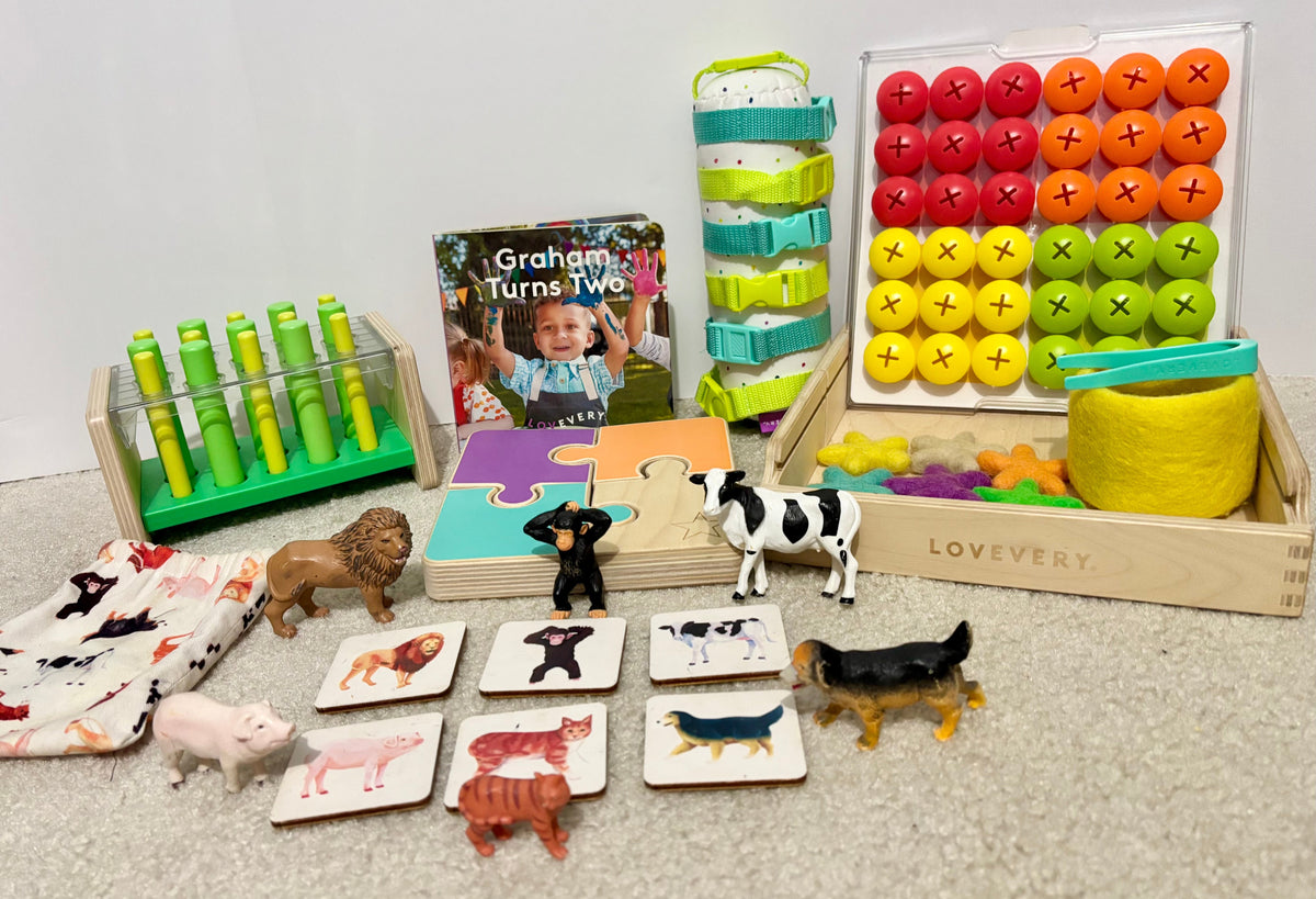 #132 - REDUCED - Companion 22, 23, 24 Month Play Kit - COMPLETE KIT