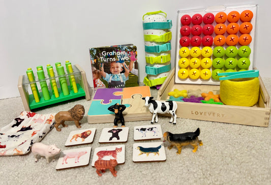 #132 - Lovevery: The Companion 22, 23, 24 Month Play Kit - FULL KIT