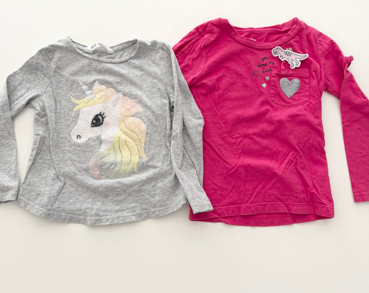 #117, Girls 4T, H&M grey unicorn sparkle shirt & Carter’s pink dinosaur shirt, VGUC