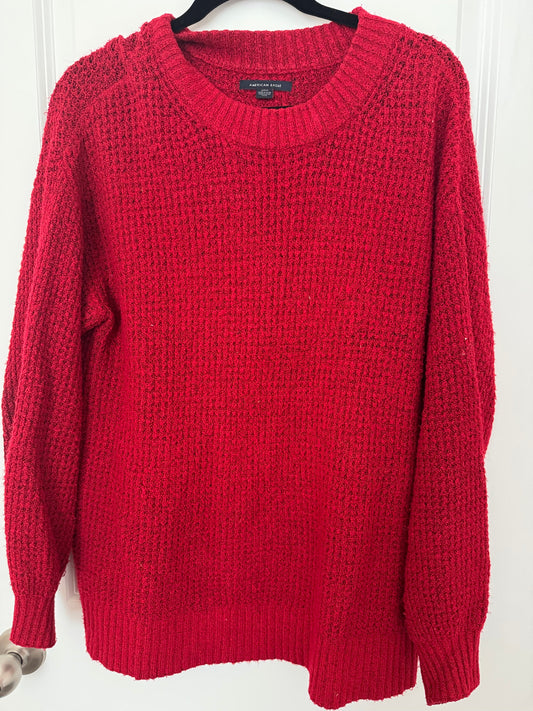 #107 American Eagle Sweater size S