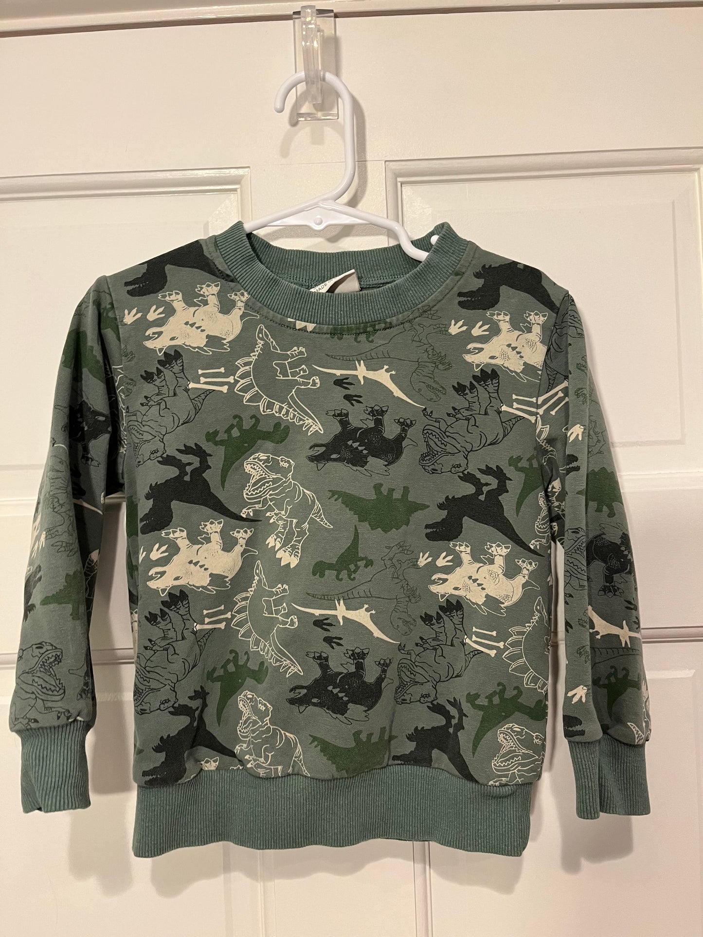 #55 Boys 4t (100) Wellkids Green Dinosaur Sweatshirt