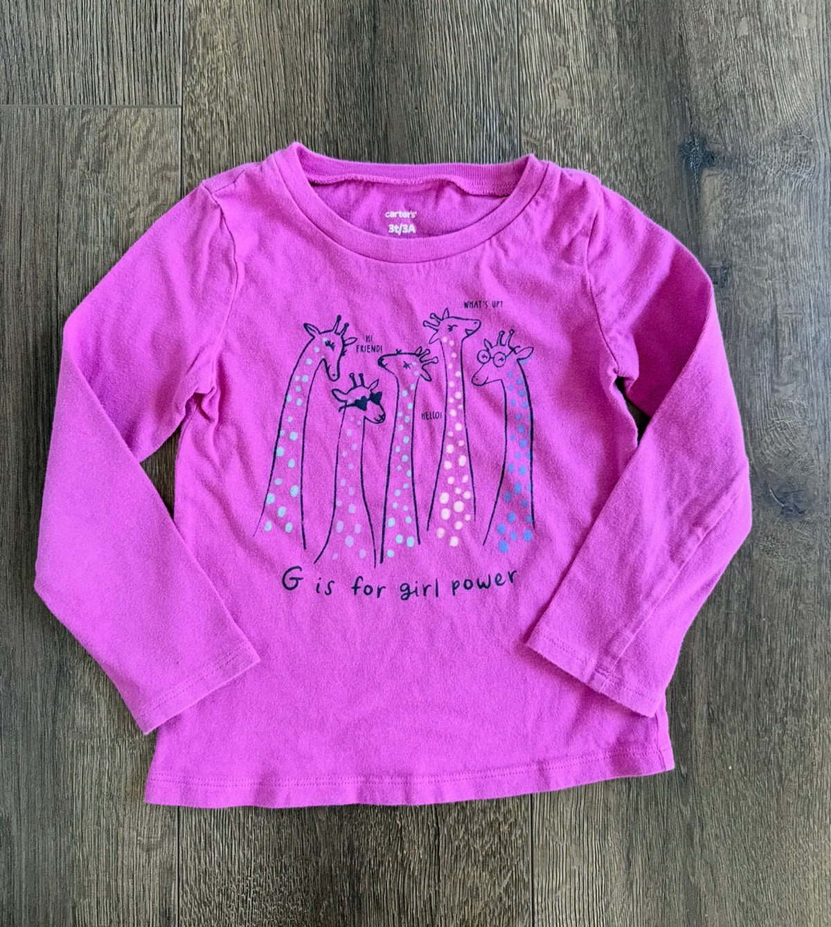 #173 Girls 3T Carters long sleeve giraffe graphic T