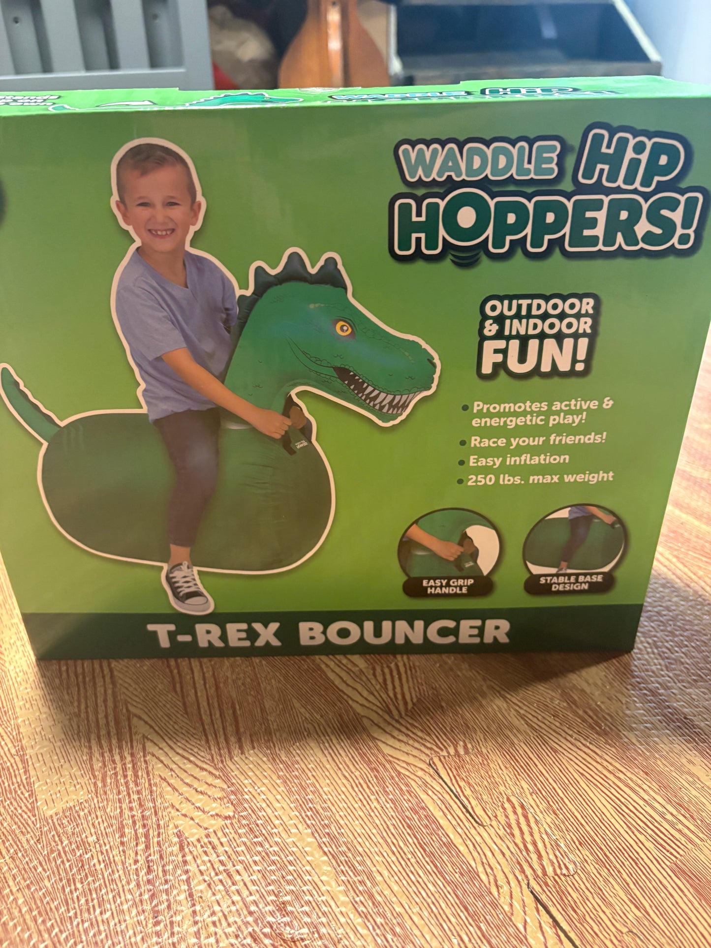 #34 NEW T-Rex Bouncer
