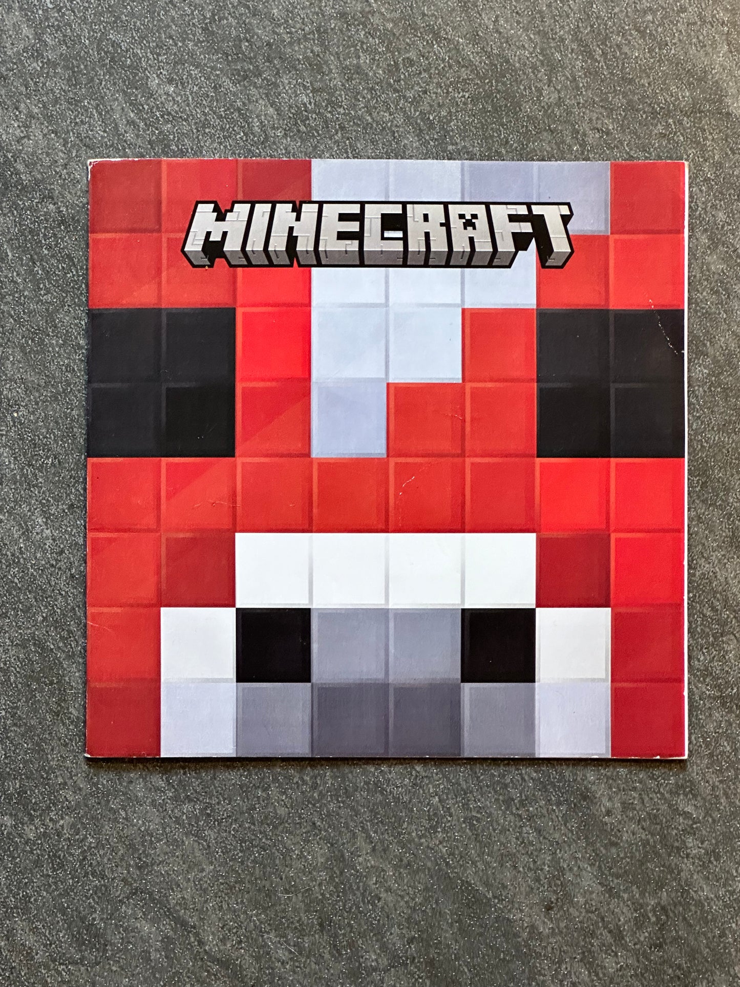 #95A Minecraft Paperback Book