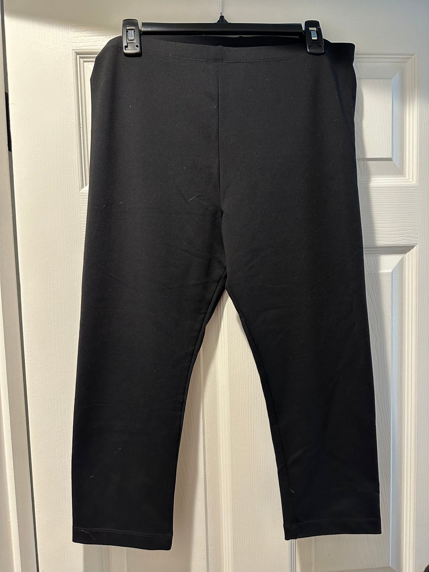 Danskin XL workout capris (PPU Milford)