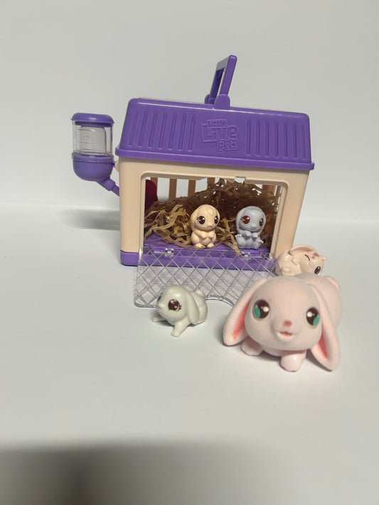 #70 Bunny and babies