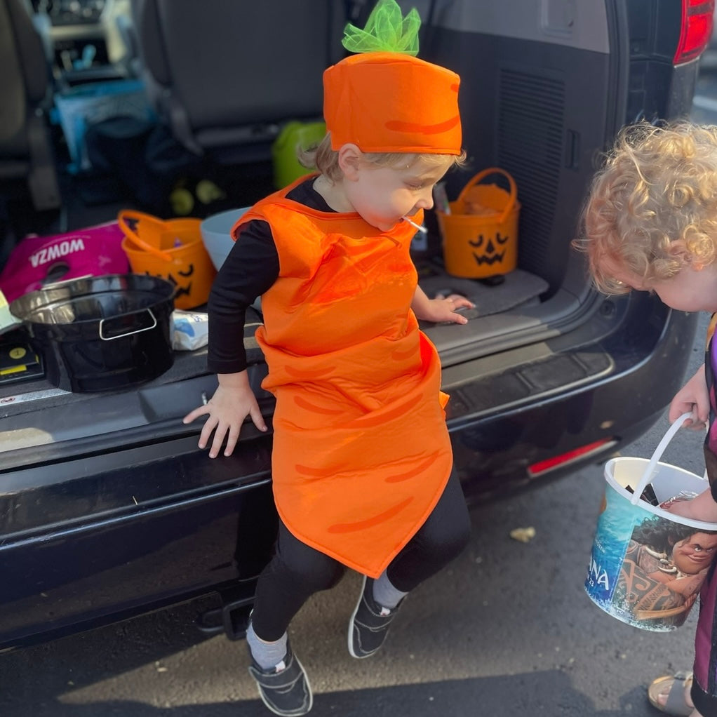 #1 Toddler Carrot Costume 2-4 REDUCED
