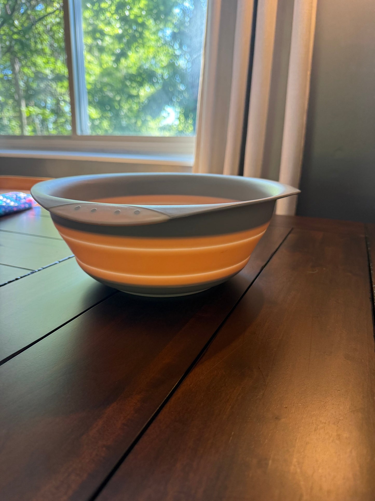 #51 REDUCED Bottle Washing Collapsable Sink Bowl