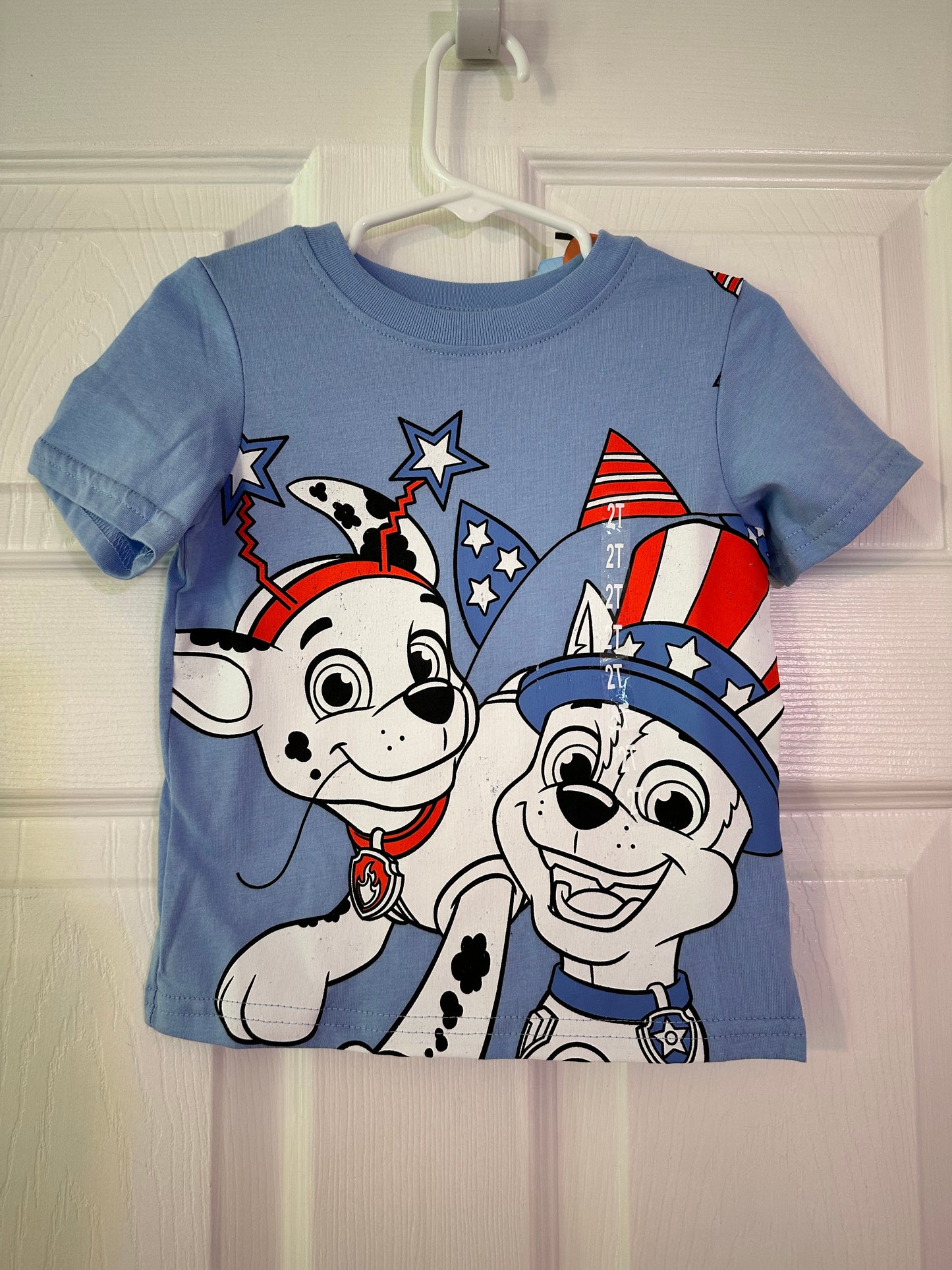 #102A 2T Character Shirt (2 Shirts) - NWT *REDUCED*