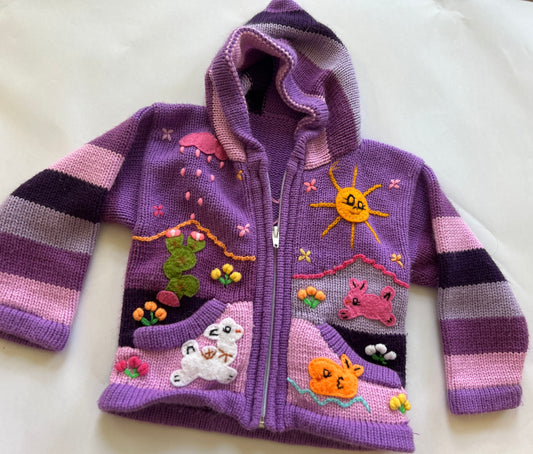 Seller # 35 embroidered sweater 12 month Reduced!
