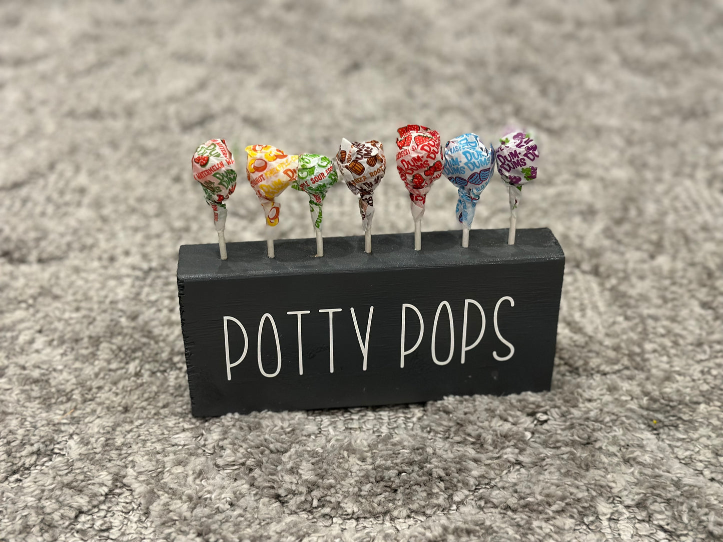 #82B Potty Pops Holder