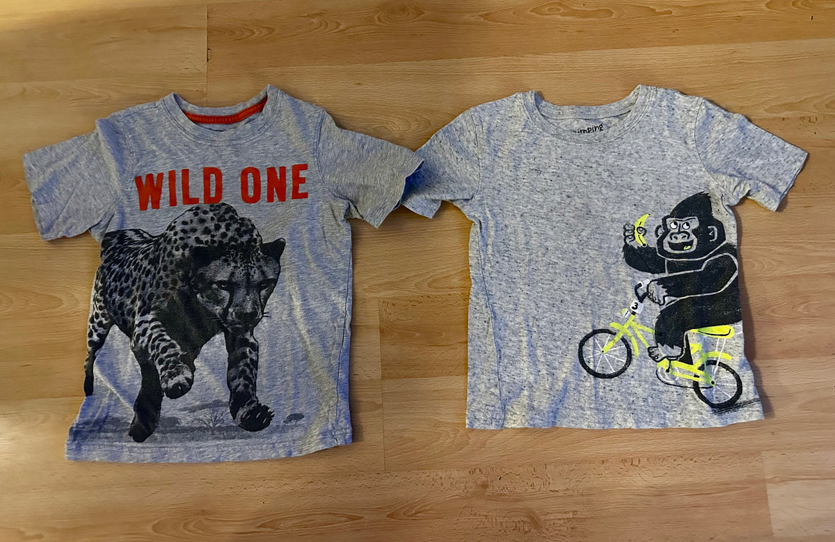 #171 Boy's 5T Shirt Bundle (5 Shirts)