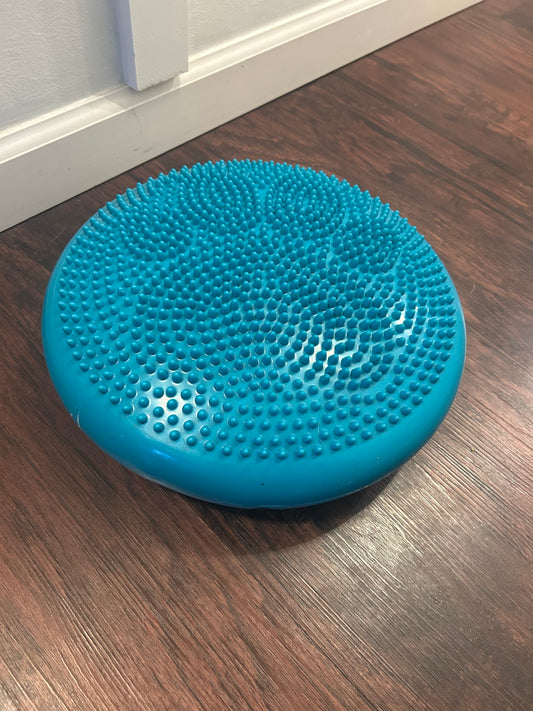 Seller 21 wobble cushion