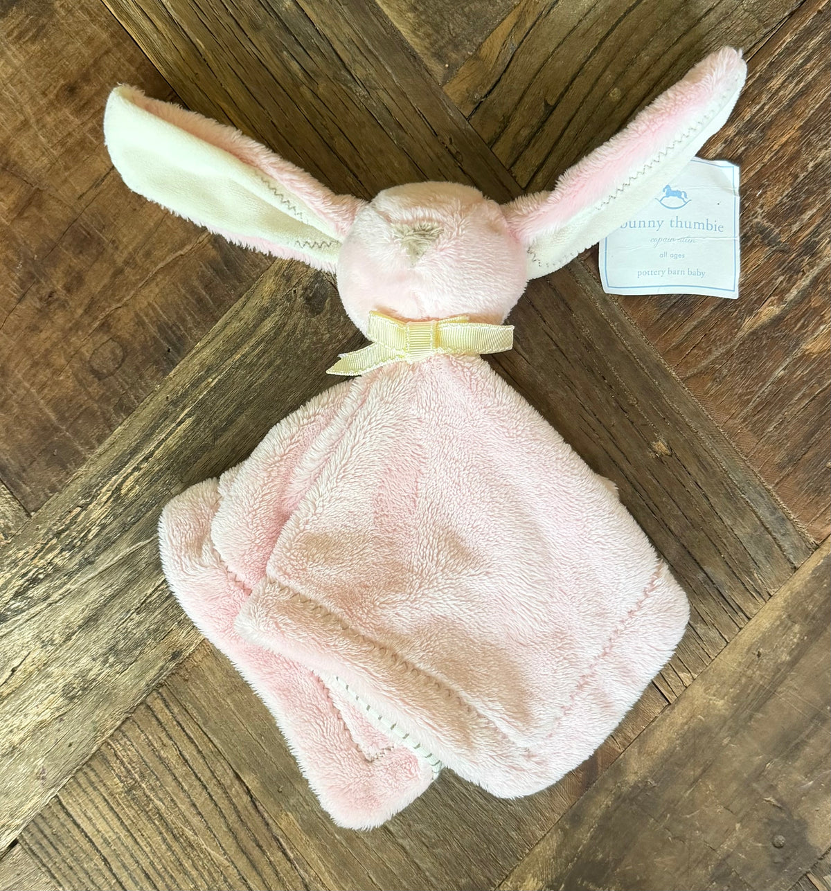#75 Pottery Barn Kids Bunny Thumbie, NEW
