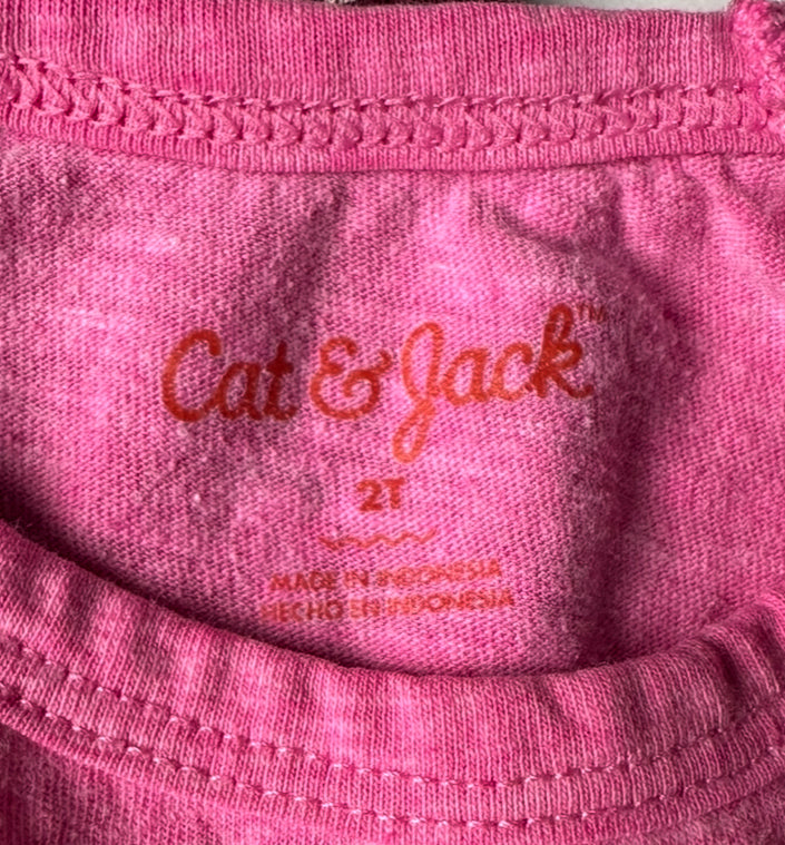 #93 Cat & Jack Old Navy L/S Shirt Set Girls 2T