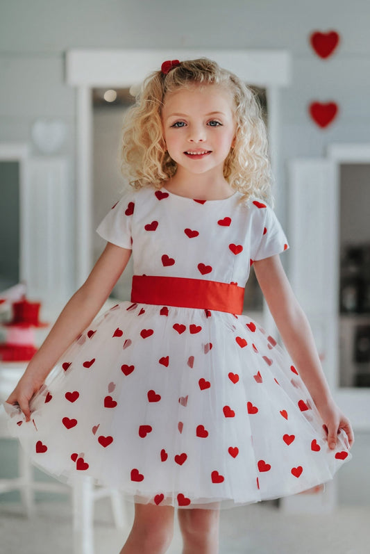 #141 Girl 5 Only Little Once NWOT Heart Tulle Twirl Dress 1 of 2 available