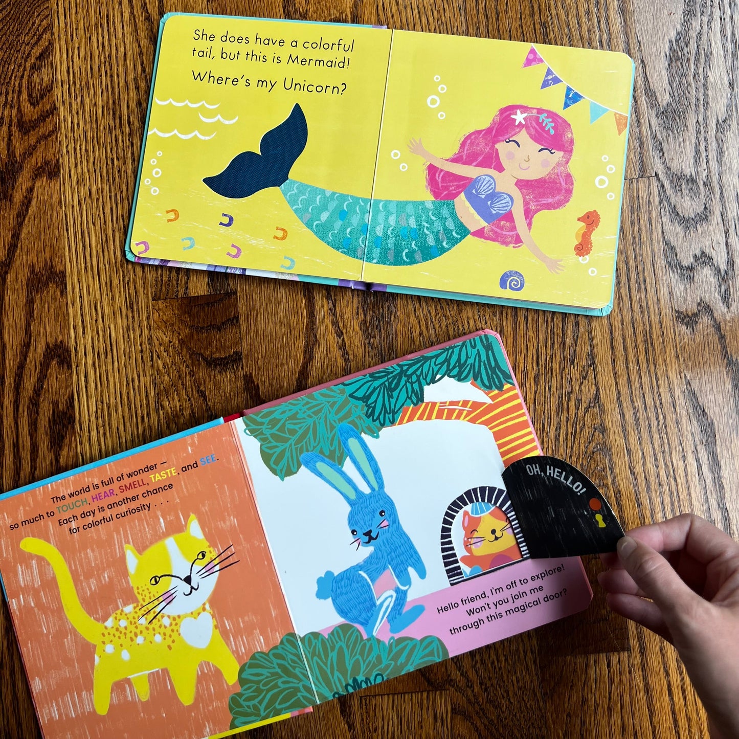 Seller #115 - REDUCED Baby / Toddler Board Book Bundle, Set of 2 (Where’s My Unicorn? & Be Curious!), VGUC